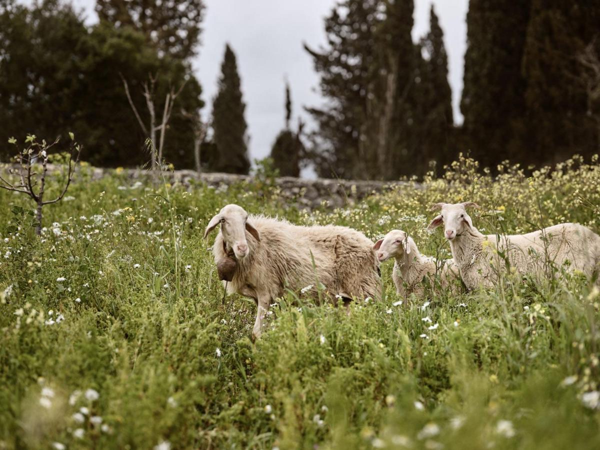 Alkis Farm And Residence Yírion エクステリア 写真