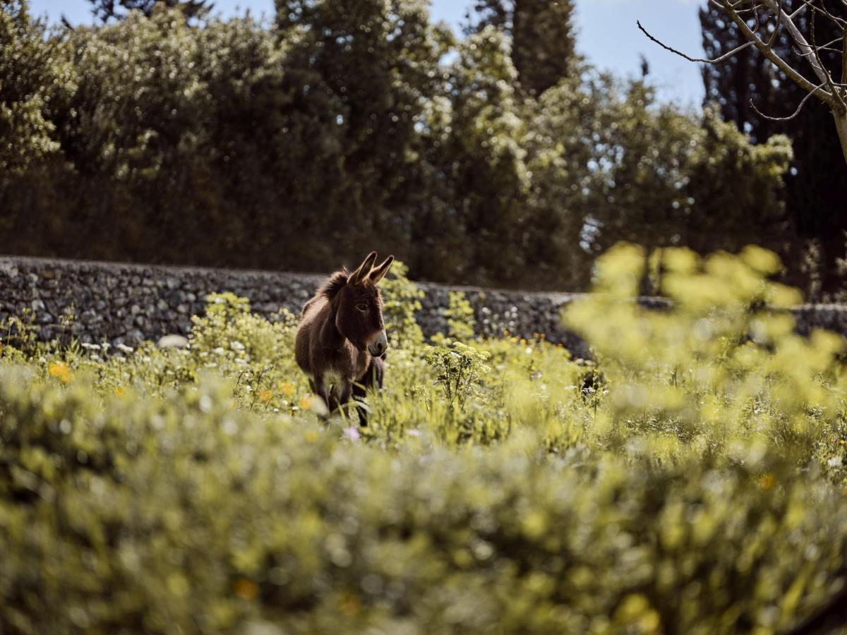 Alkis Farm And Residence Yírion エクステリア 写真